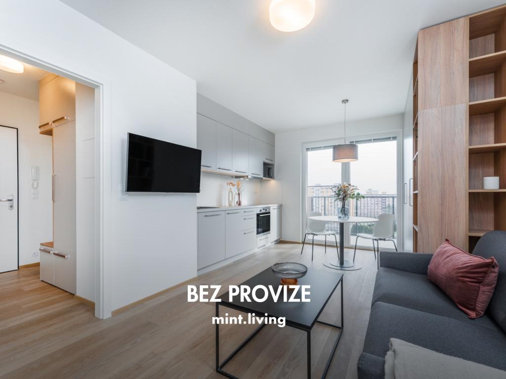 Pronájem bytu 1+kk 39 m2