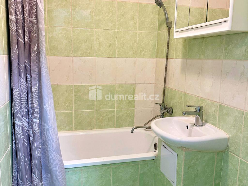 Pronájem bytu 1+1 36 m2