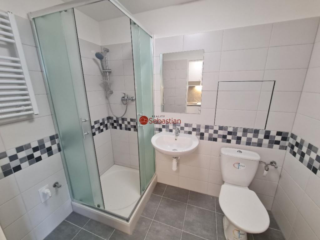 Pronájem bytu 1+1 37 m2