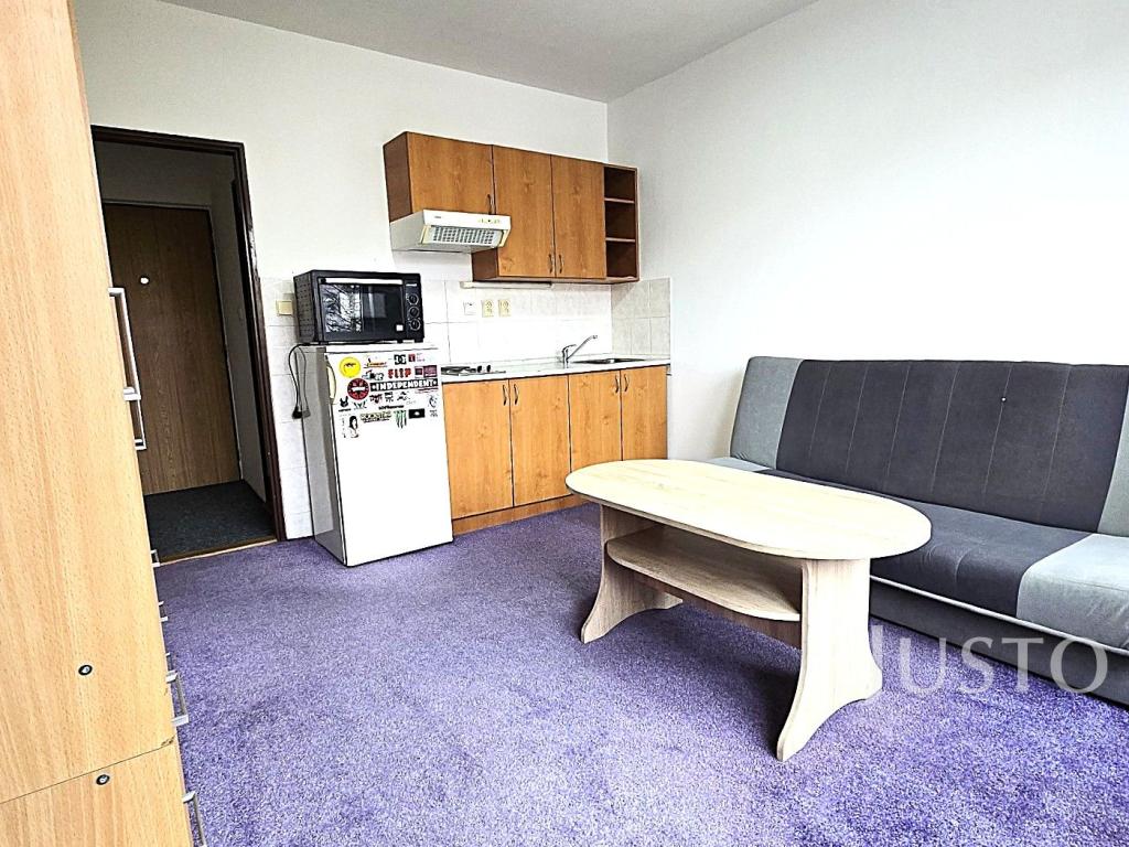 Pronájem bytu 1+kk 20 m2