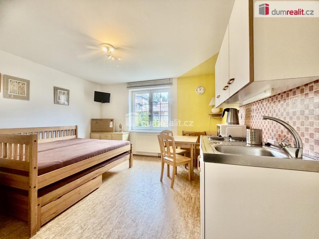 Pronájem bytu 1+kk 25 m2