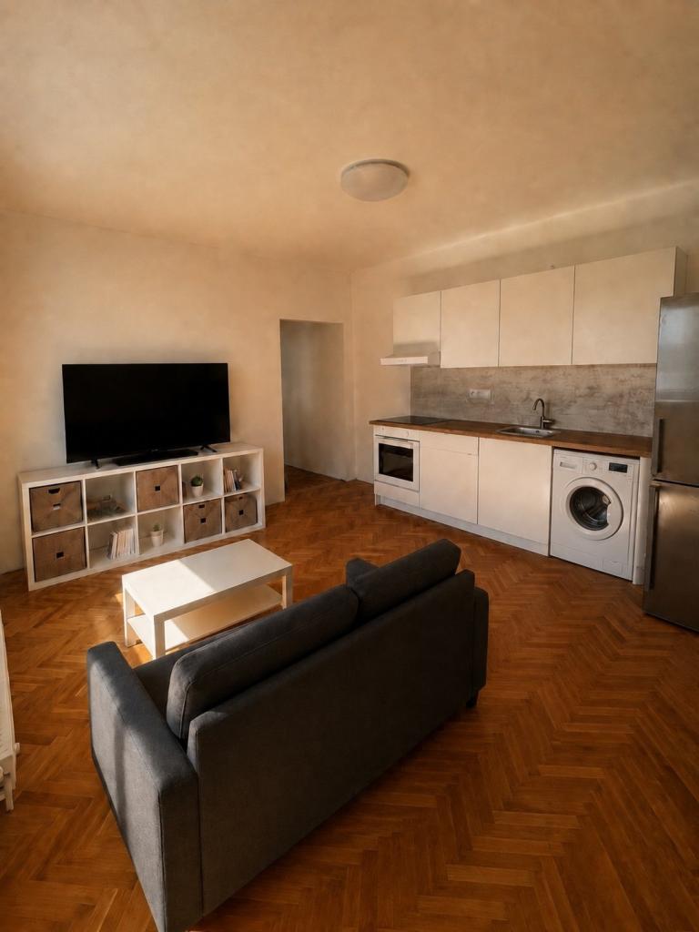 Pronájem bytu 3+kk 45 m2