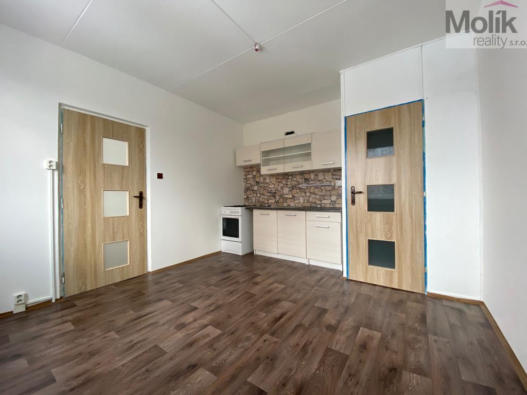 Pronájem bytu 1+1 38 m2