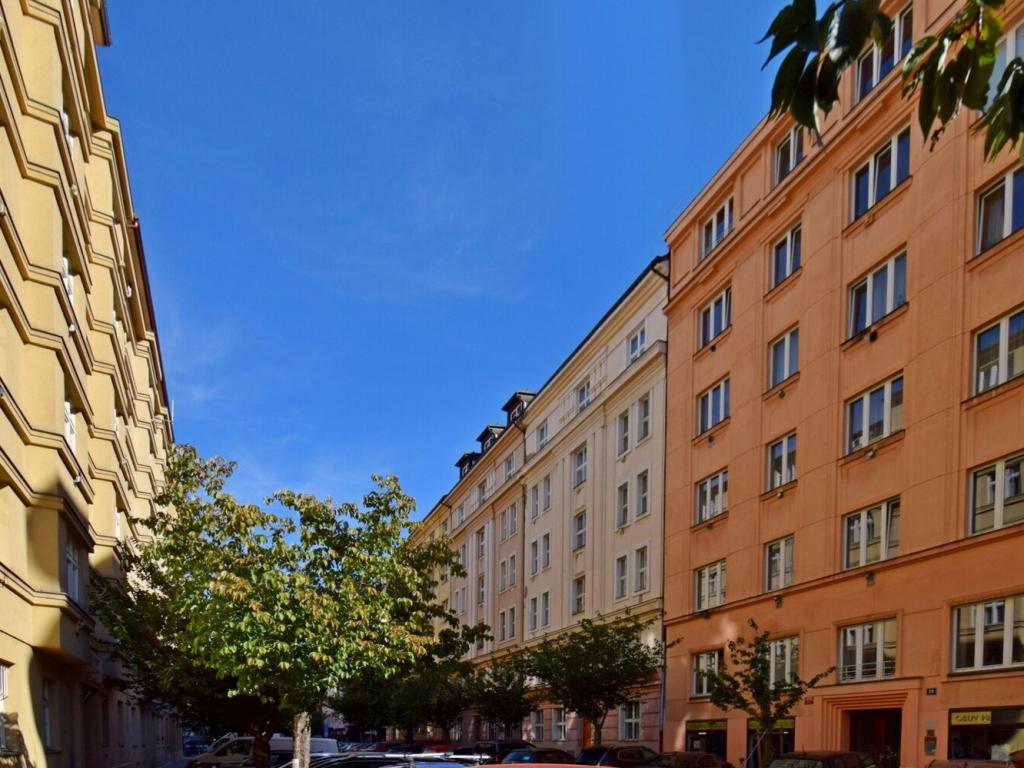 Pronájem bytu 1+1 62 m2
