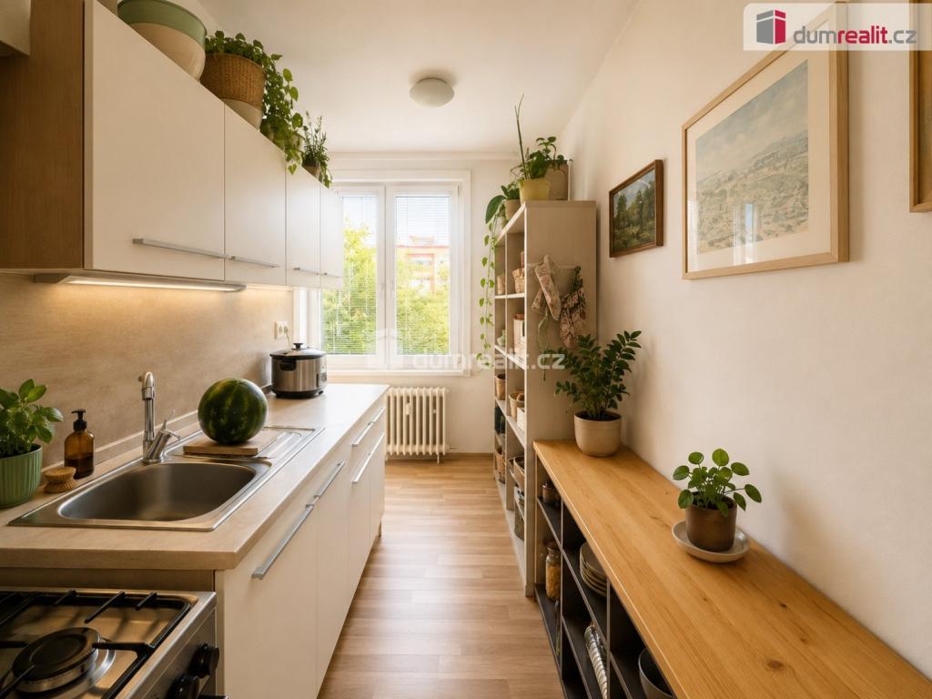 Pronájem bytu 3+1 65 m2