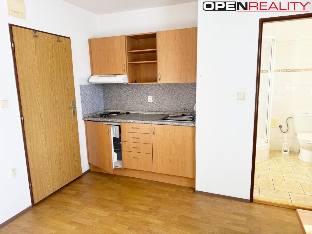 Pronájem bytu 1+kk 16 m2