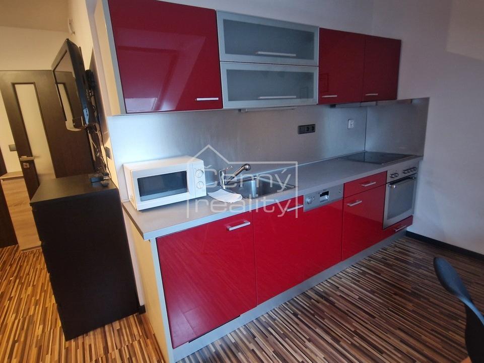 Pronájem bytu 1+kk 50 m2