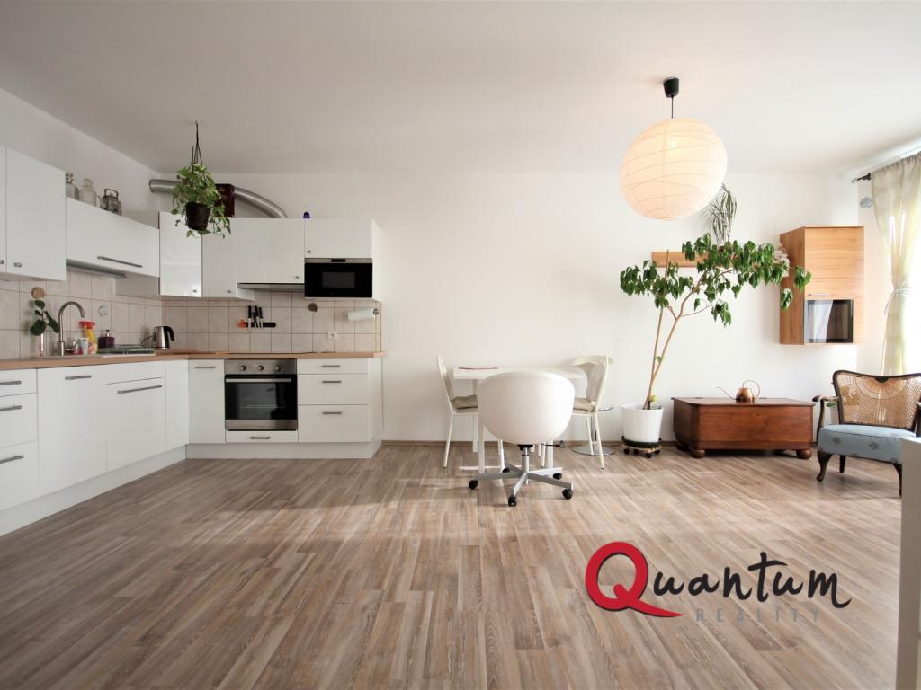 Pronájem bytu 1+kk 47 m2