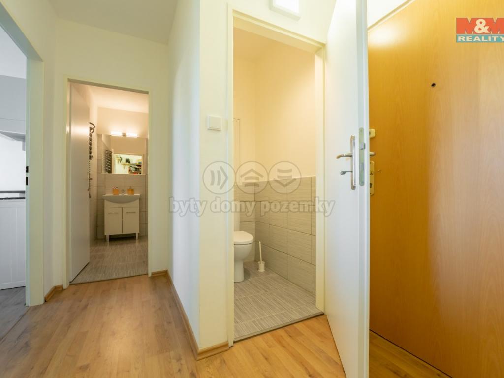 Pronajem bytu 2+kk 46 m2