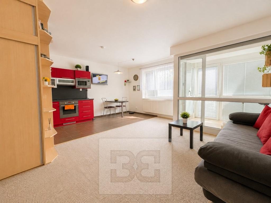 1-izbový byt na prenájom · 40 m² · Brno — 620 €/mes.