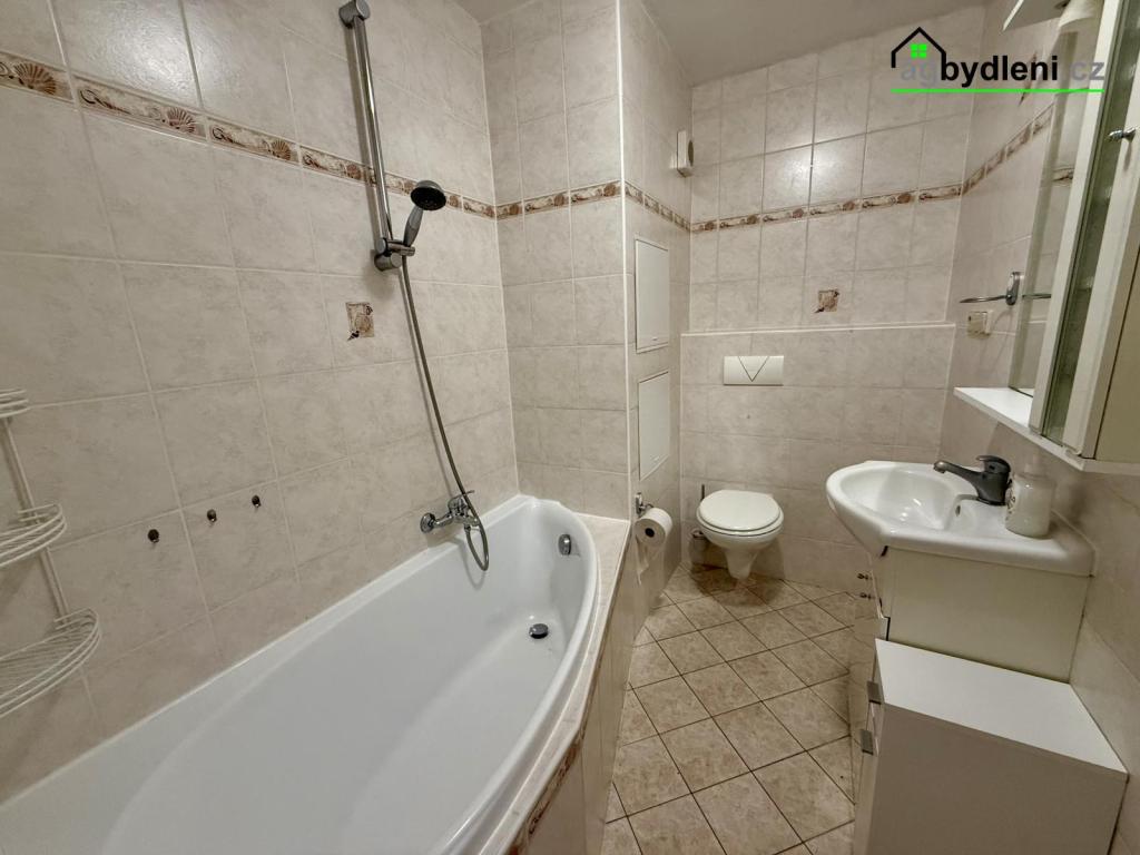 Pronájem bytu 2+1 60 m2