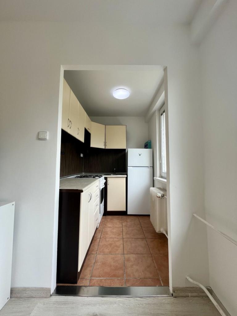 Pronájem bytu 1+1 30 m2