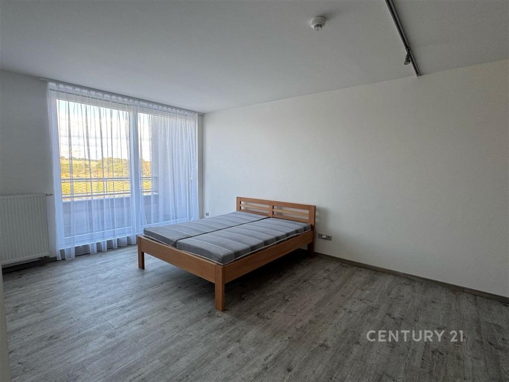 Pronájem bytu 1+kk 51 m2