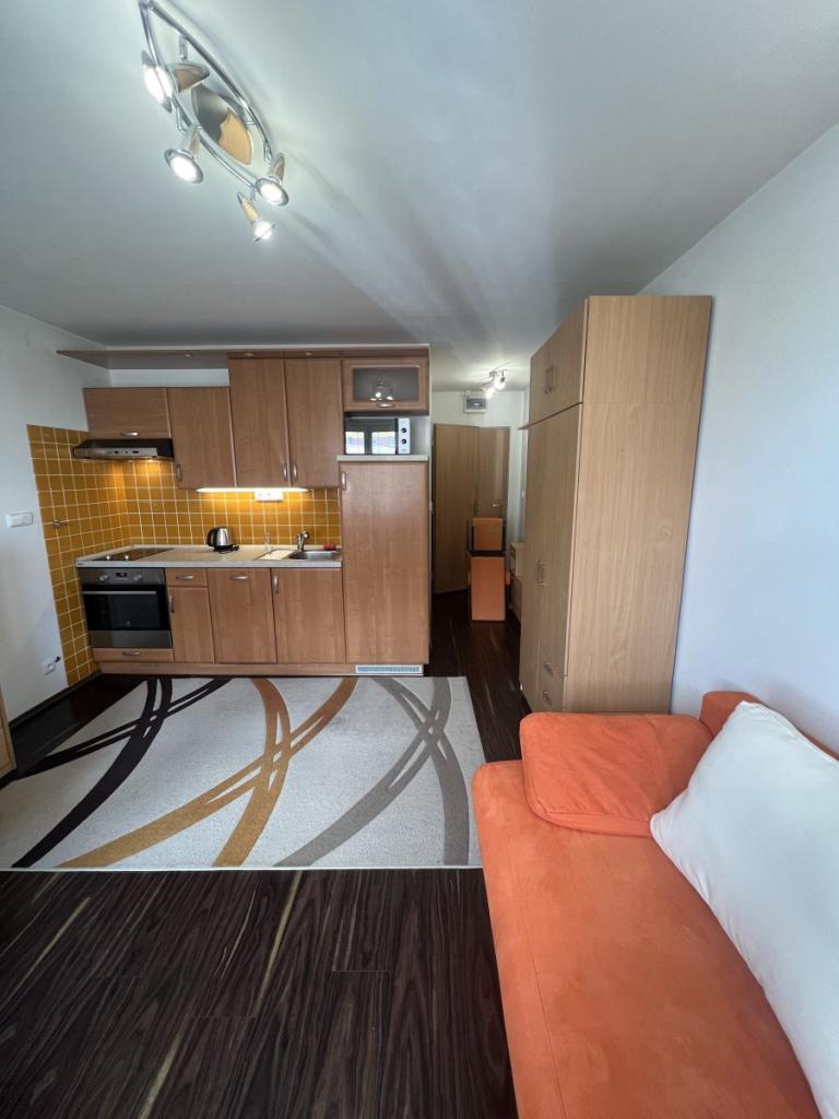 Pronájem bytu 1+kk 29 m2