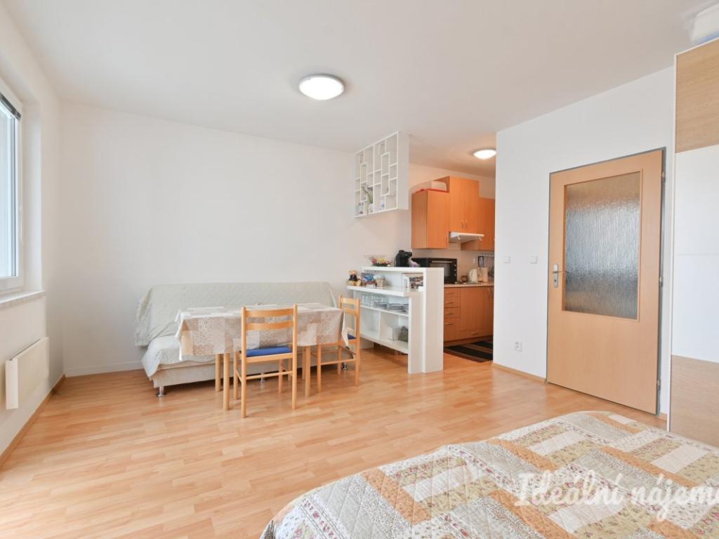Pronájem bytu 1+kk 30 m2