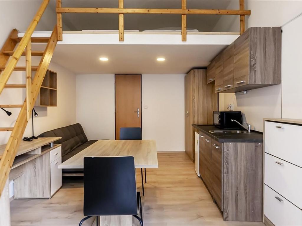 Pronájem bytu 1+kk 20 m2