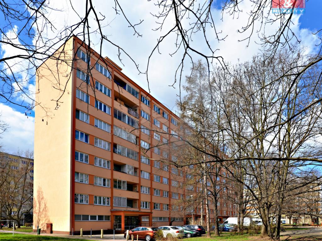 Pronajem bytu 2+1 41 m2