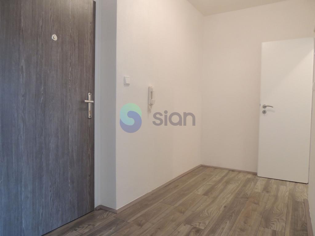 Pronájem bytu 1+1 39 m2