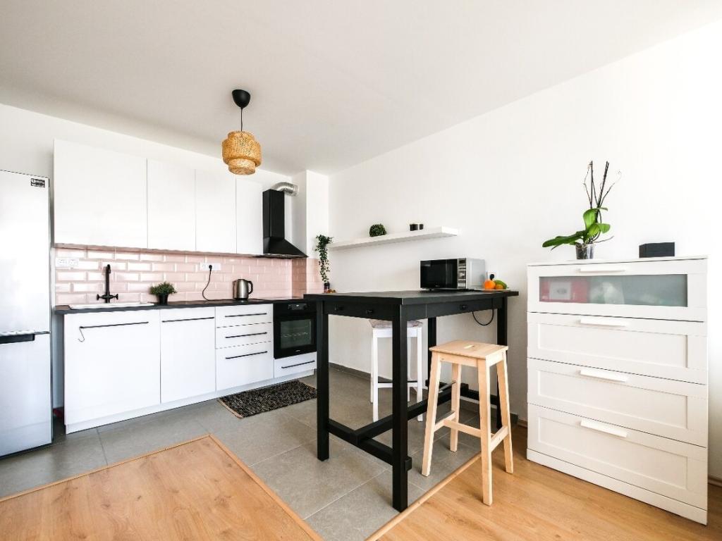 Pronájem bytu 1+1 46 m2