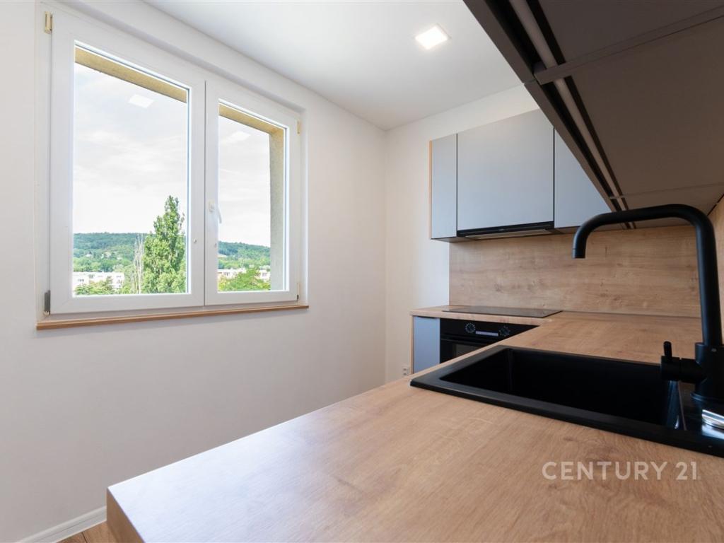 Pronájem bytu 3+1 56 m2