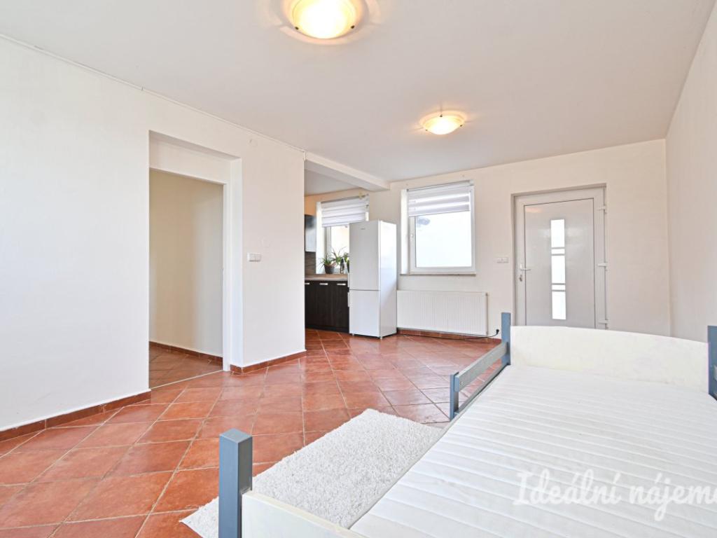 Pronájem bytu 1+kk 42 m2