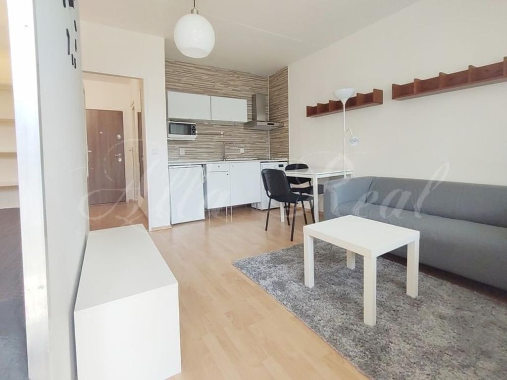 Pronájem bytu 1+kk 40 m2