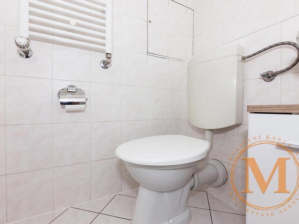 Pronájem bytu 1+kk 40 m2, Praha – náhled fotky 12