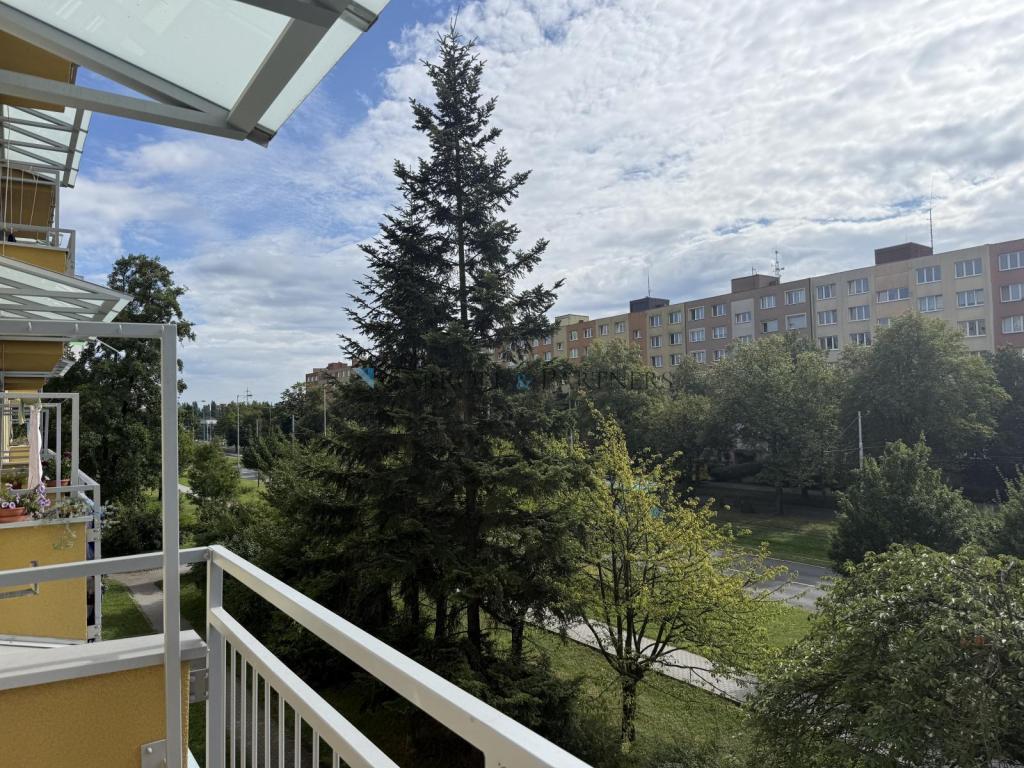 Pronájem bytu 3+1 74 m2, Ostrava – náhled fotky 15