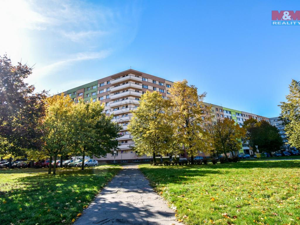 Pronajem bytu 2+1 46 m2