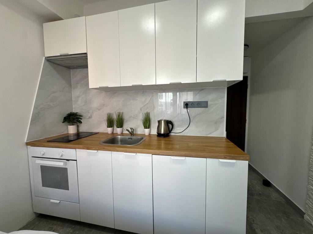 Pronájem bytu 1+kk 15 m2