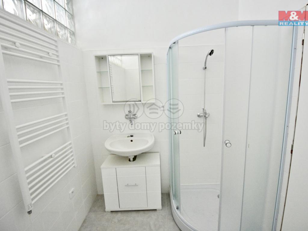 Pronajem bytu 1+1 40 m2