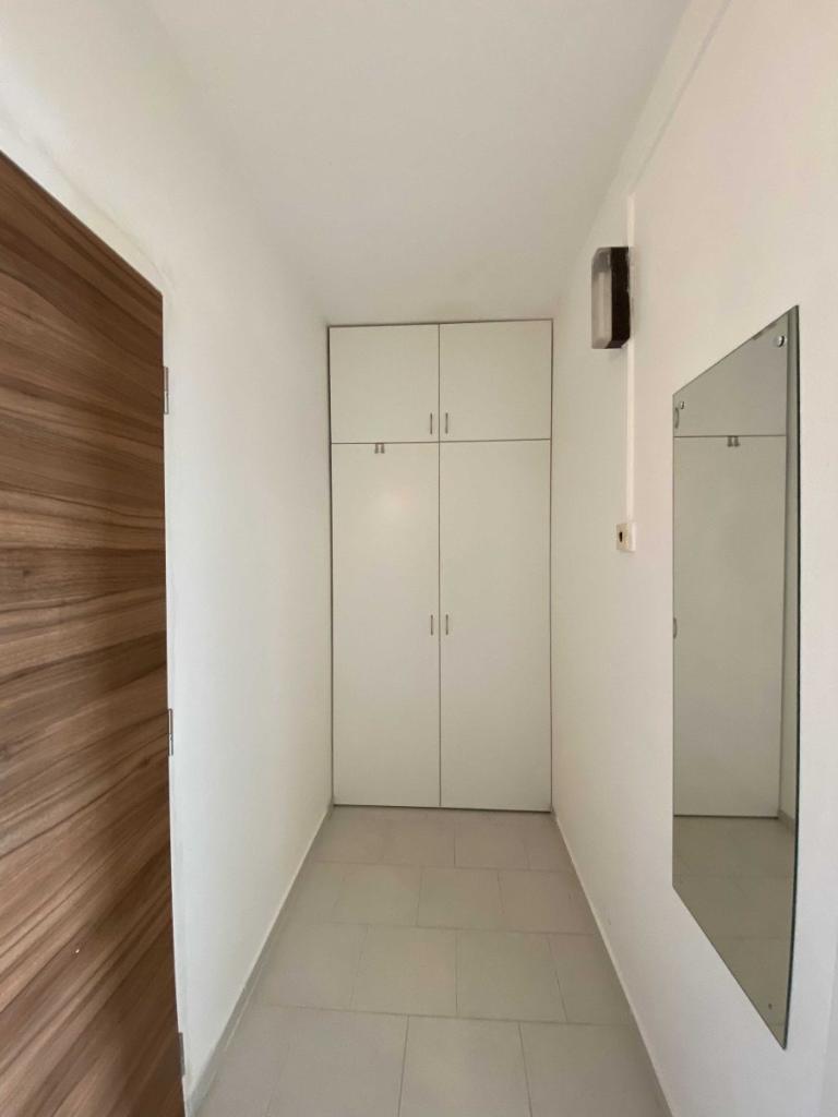 Pronájem bytu 2+1 52 m2