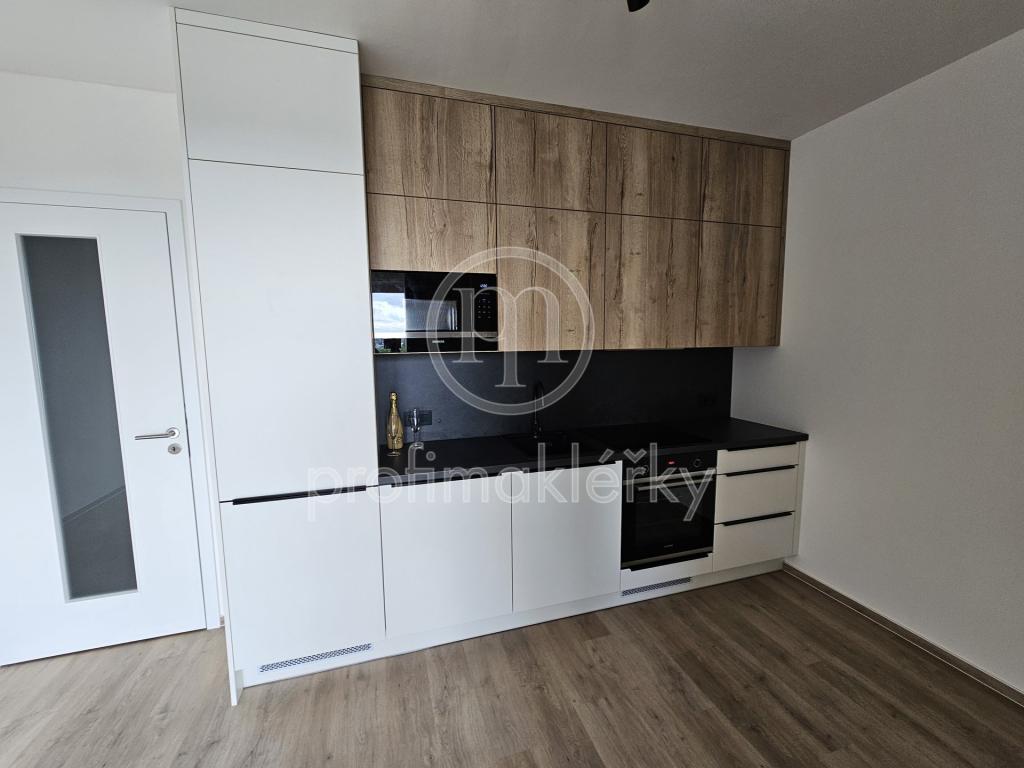 Pronájem bytu 1+kk 37 m2