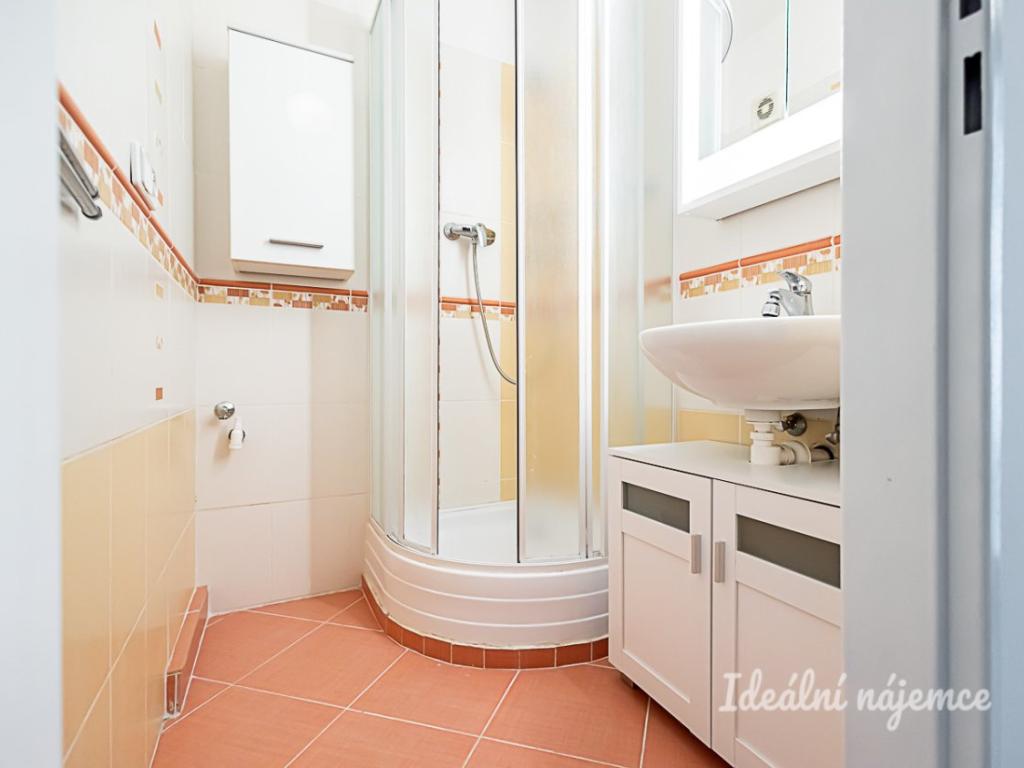 Pronájem bytu 2+kk 42 m2