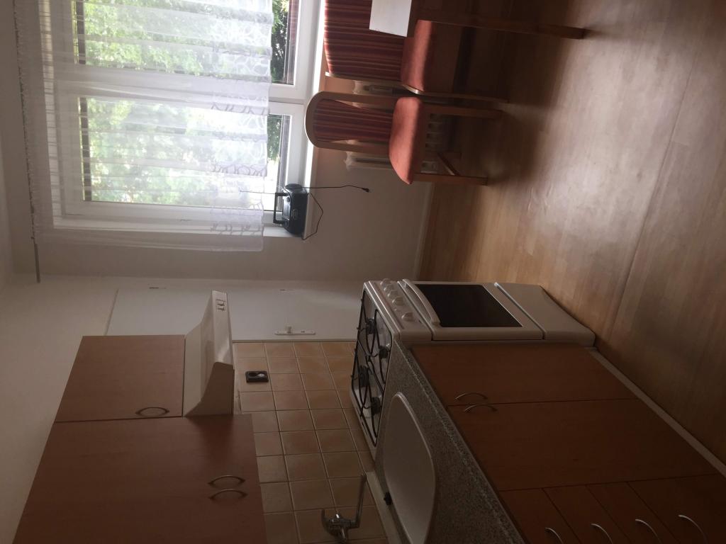 Pronajem bytu 2+1 55 m2