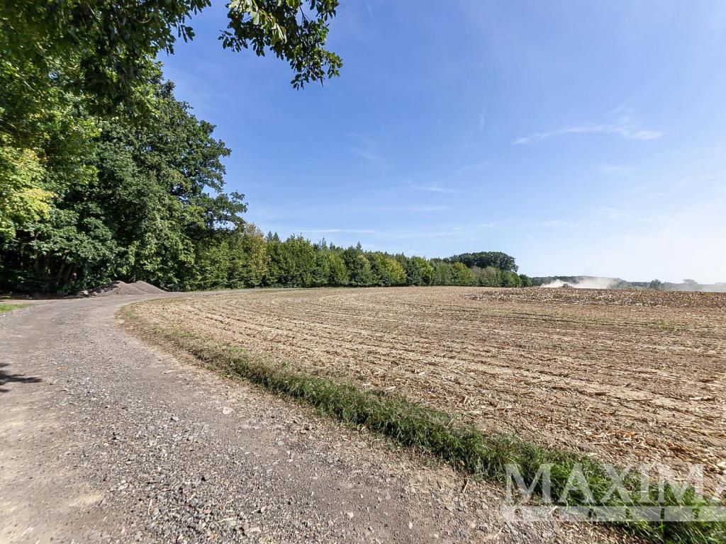 Prodej pozemku 3636 m2, Lhotky – náhled fotky 12