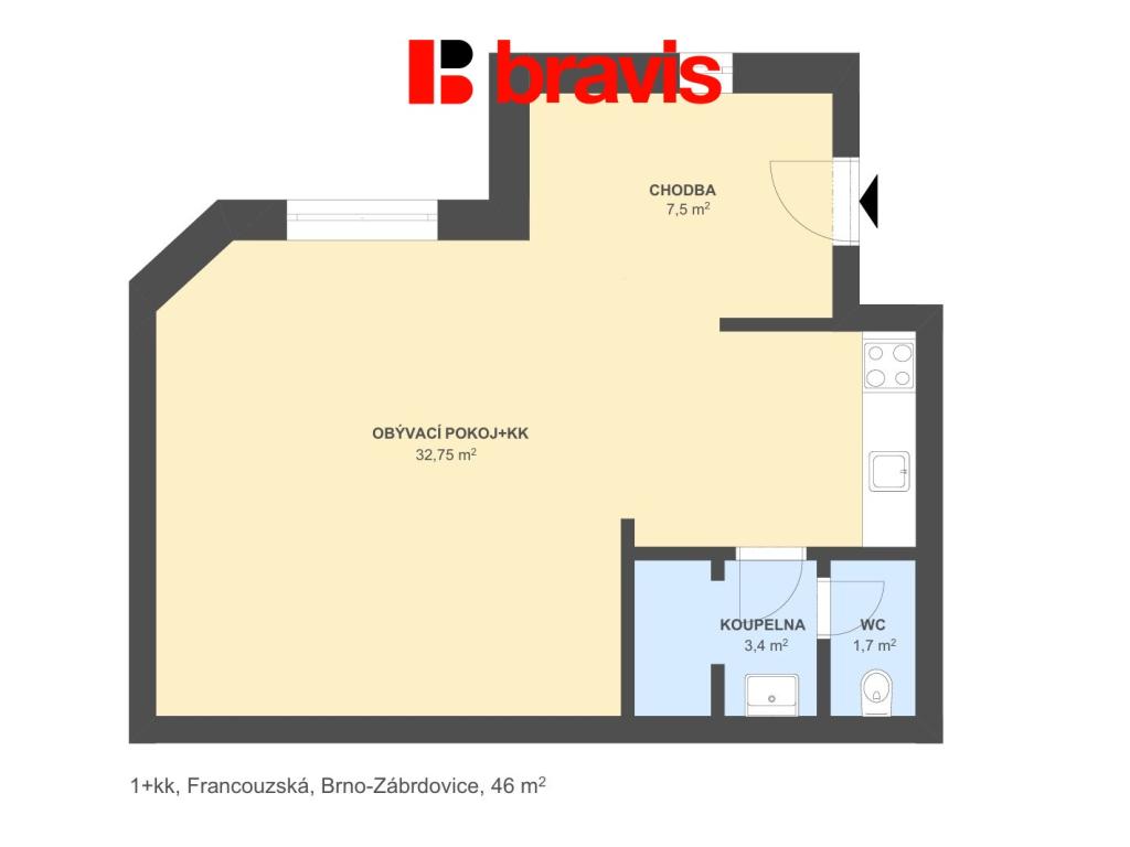 Pronájem bytu 1+kk 46 m2