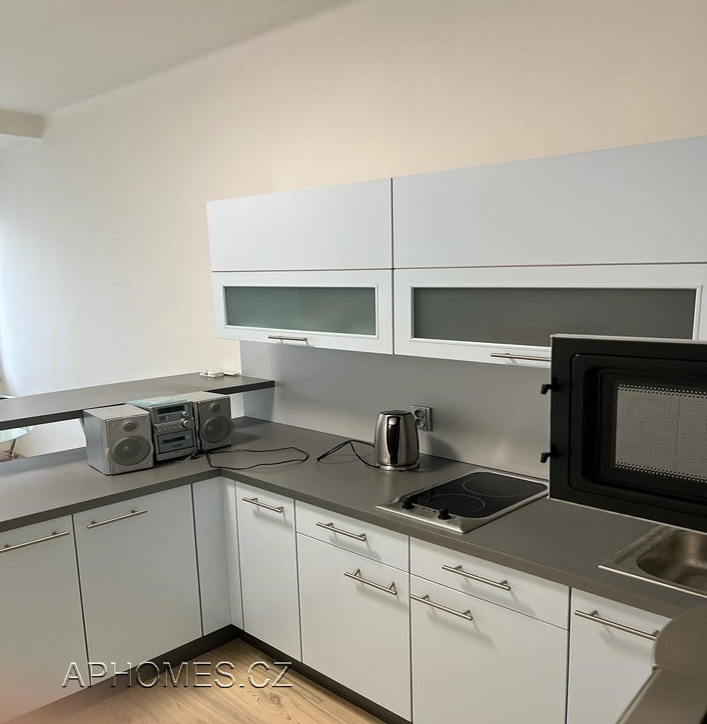 Pronájem bytu 1+1 46 m2, Praha – náhled fotky 2