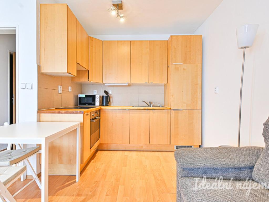 Pronájem bytu 1+kk 38 m2