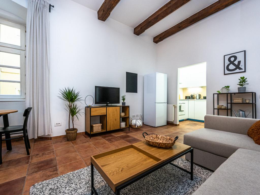 Pronajem bytu 1+kk 40 m2