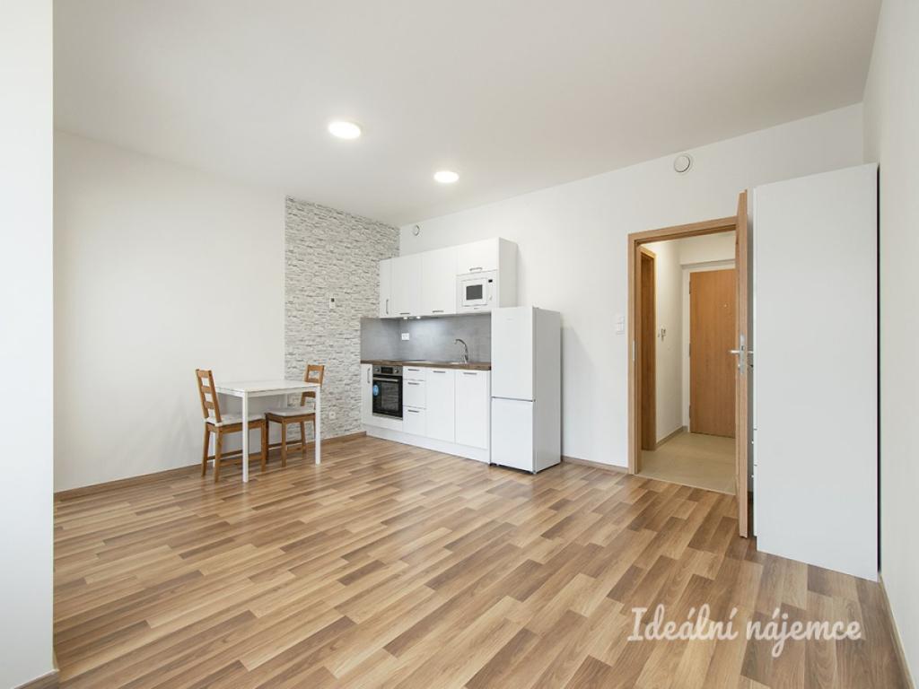 Pronájem bytu 1+kk 33 m2