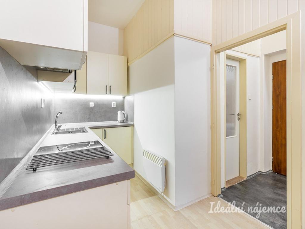 Pronájem bytu 1+1 43 m2