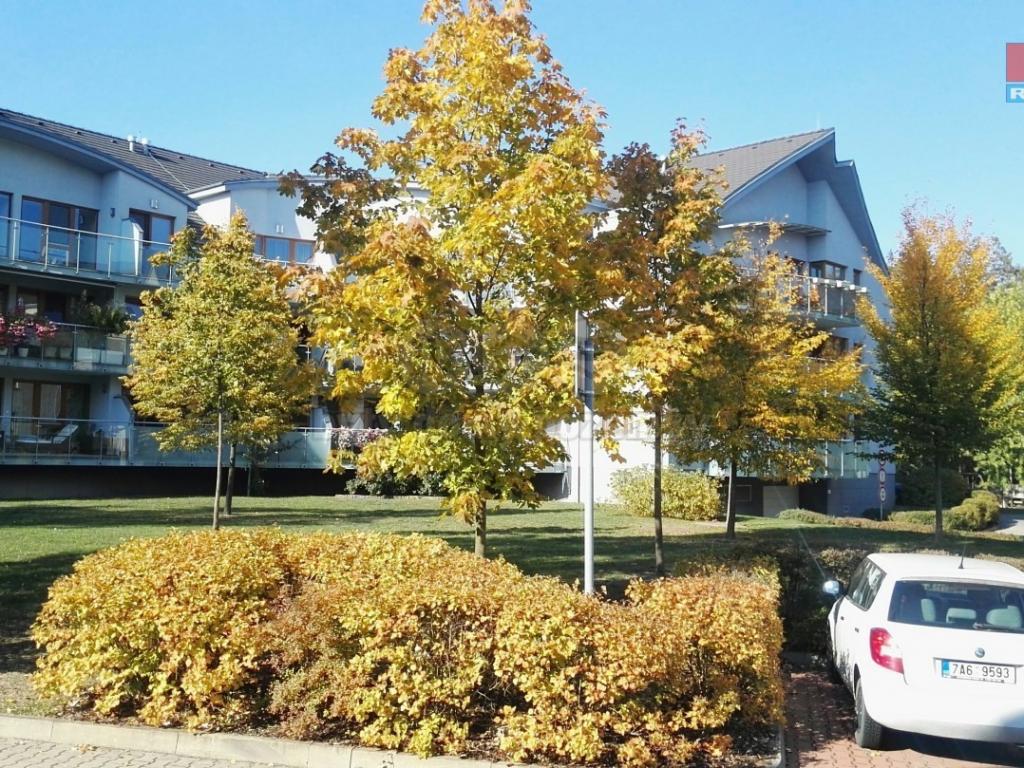 Pronajem bytu 4+kk 130 m2