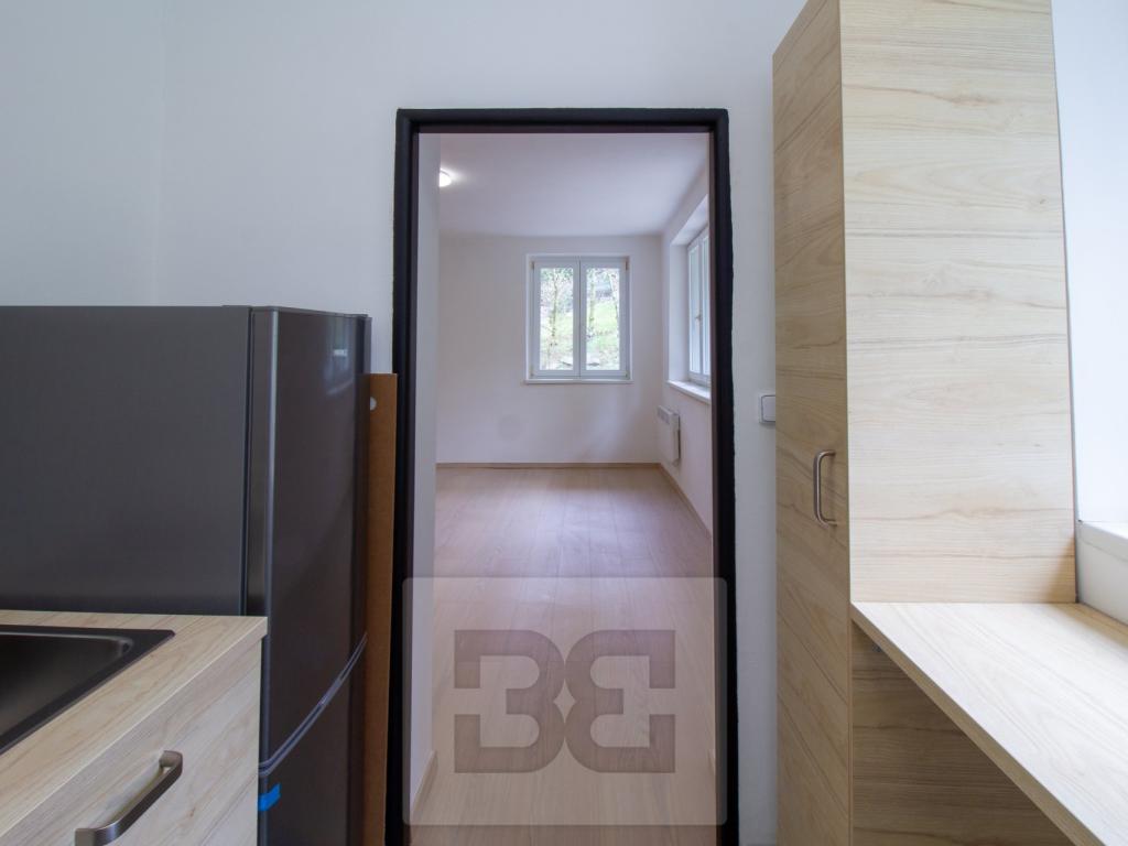 Pronájem bytu 1+1 34 m2