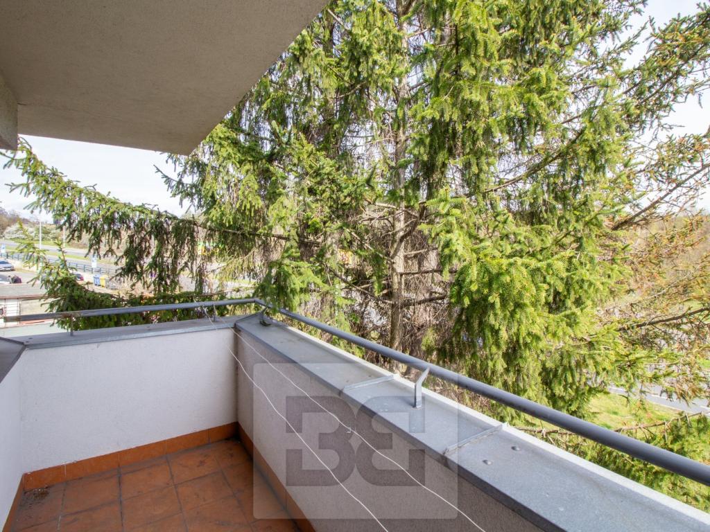 Pronájem bytu 1+kk 30 m2