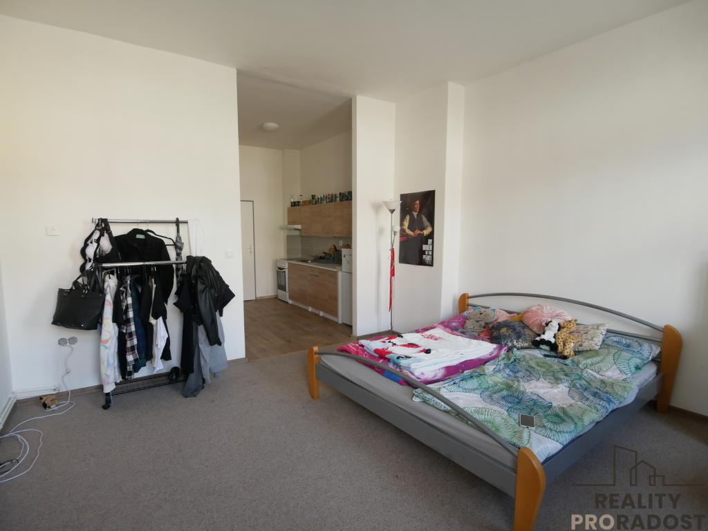 Pronájem bytu 1+kk 42 m2