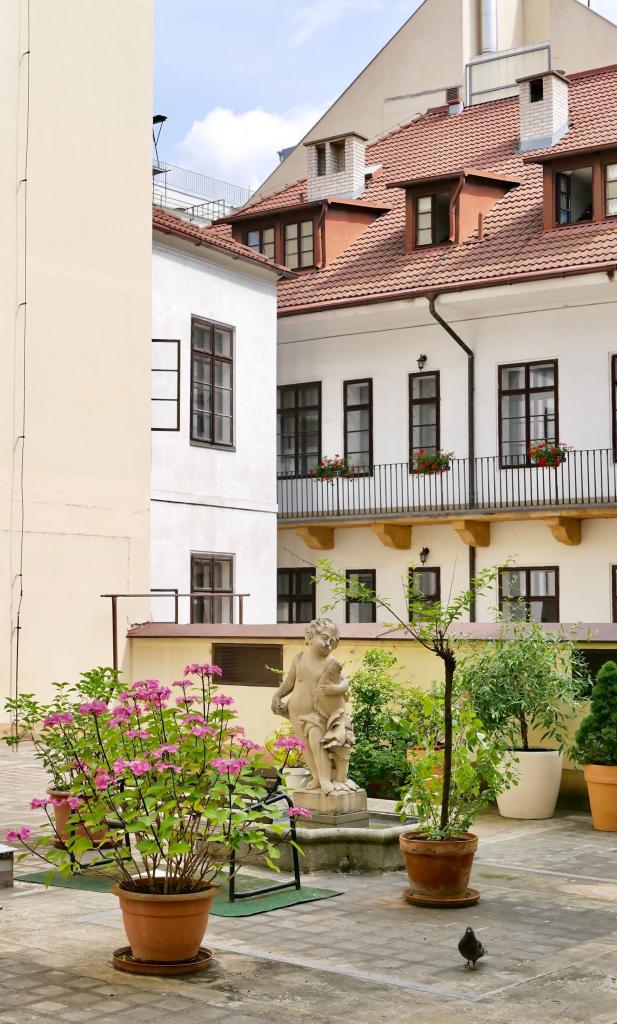Pronájem bytu 1+kk 35 m2, Praha – náhled fotky 2