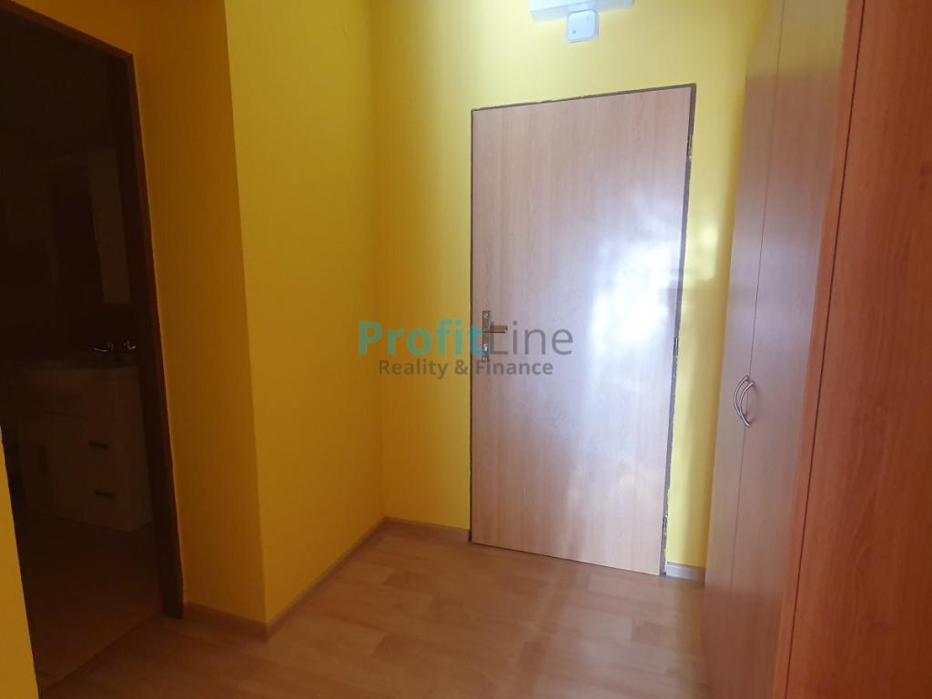 Pronajem bytu 1+kk 46 m2