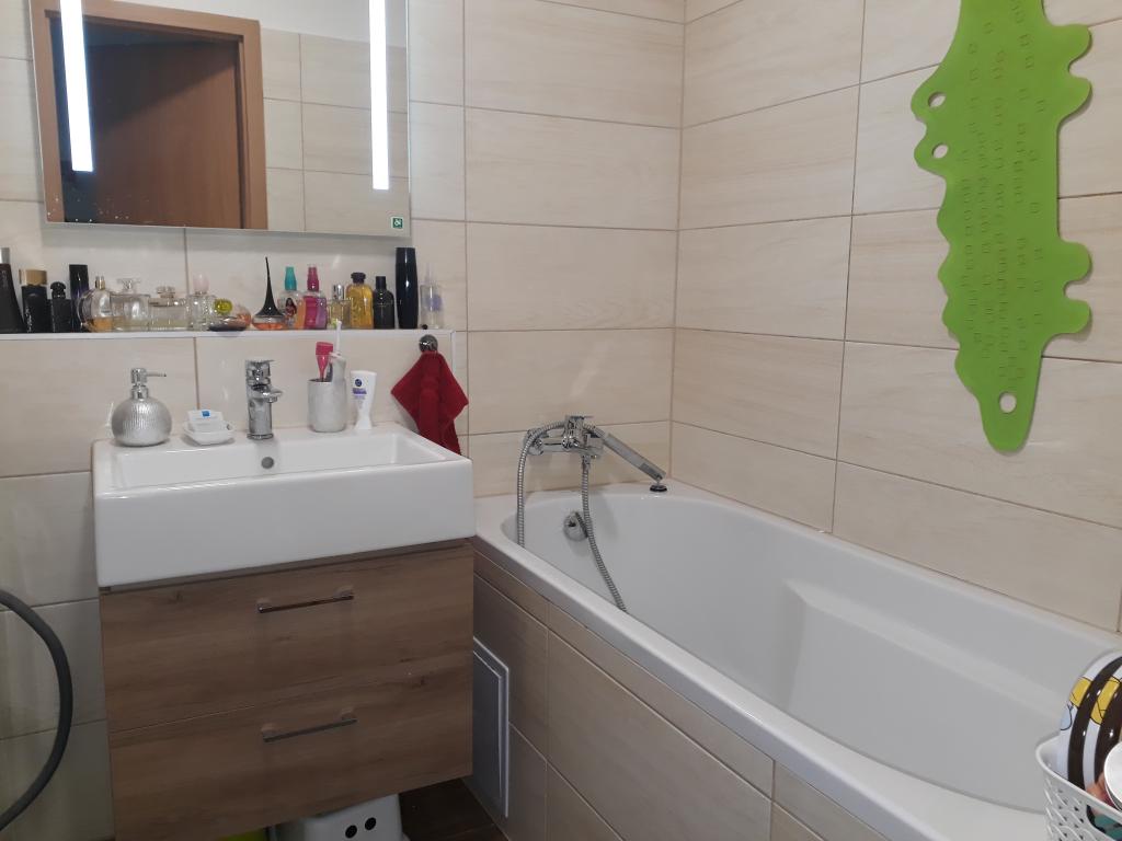 Pronajem bytu 2+1 60 m2