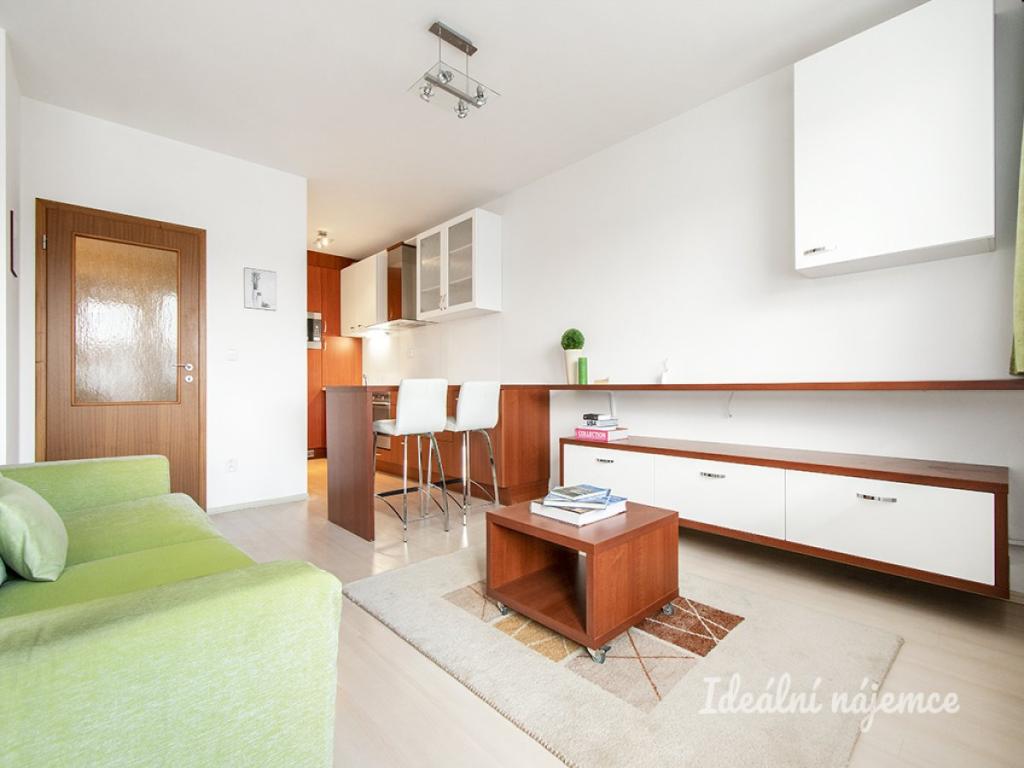 Pronájem bytu 1+1 47 m2